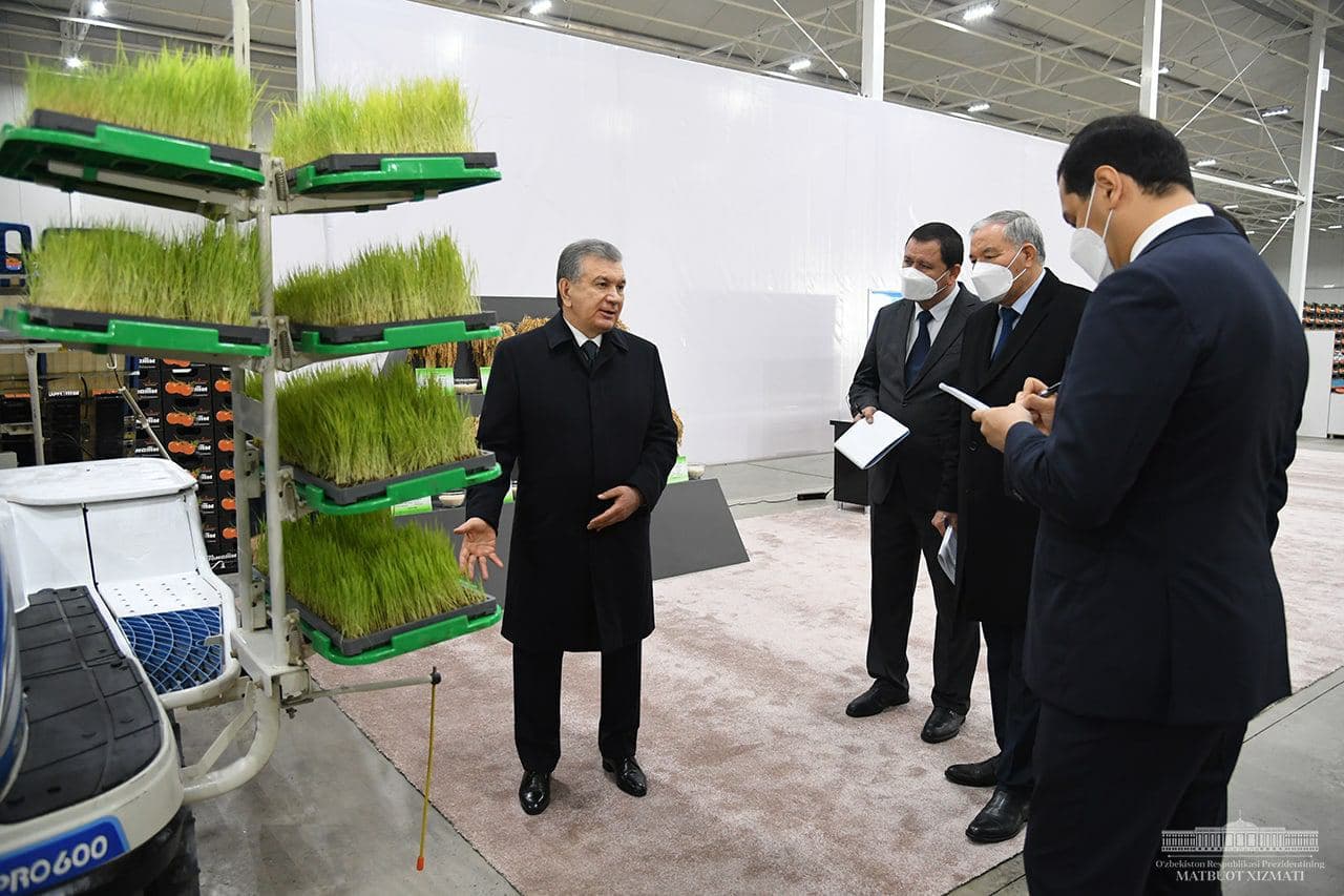 Mas'uliyati cheklangan jamiyat to'g'risidagi qonun. "kashta studio" mas'uliyati cheklangan jamiyat. Mas uliyati cheklangan jamiyati. Mas uliyati cheklangan jamiyati. "qaqir qurilish" mas’uliyati cheklangan jamiyati устави.